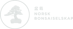 Norsk Bonsaiselskap Logo